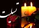 پیام تسلیت انجمن صنفی روزنامه نگاران هـــــرمزگان به مناسبت درگذشت مرحوم حمید رحمانی